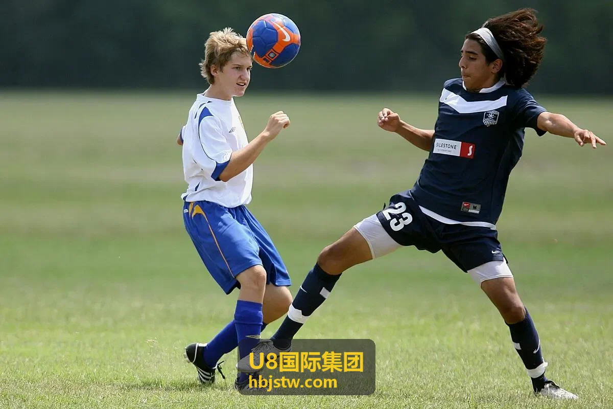 U8国际集团北美科技企业合资